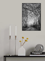 Tuscan Dream Alley Poster och Canvastavla