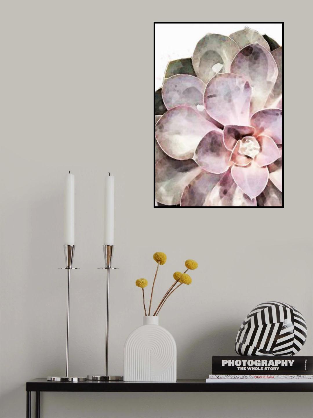 Succulent Close-up Poster och Canvastavla