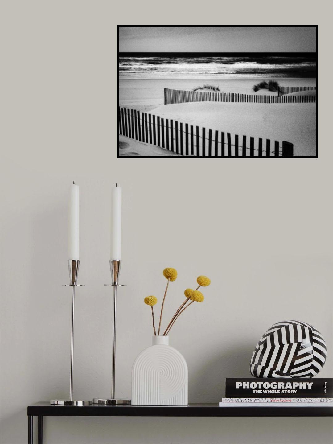 Sleepy Sun Poster och Canvastavla