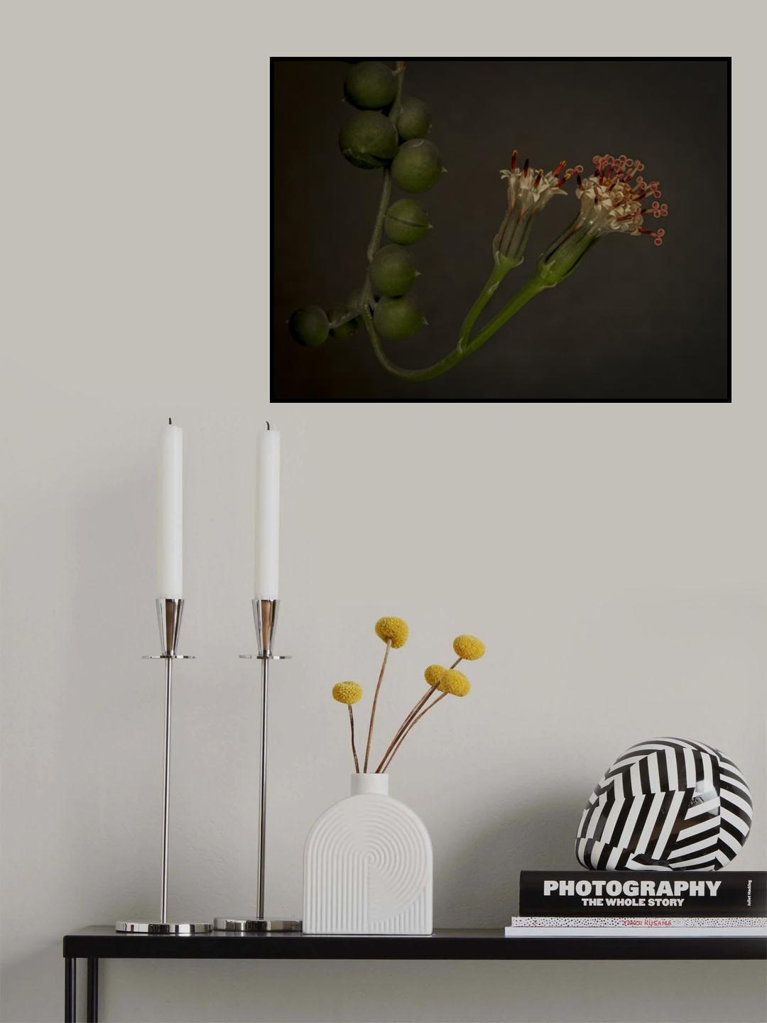 String of Pearls Poster och Canvastavla