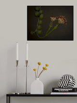 String of Pearls Poster och Canvastavla