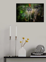 Colours Of Impermanence Poster och Canvastavla