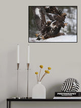 Dance of the Eagles Poster och Canvastavla