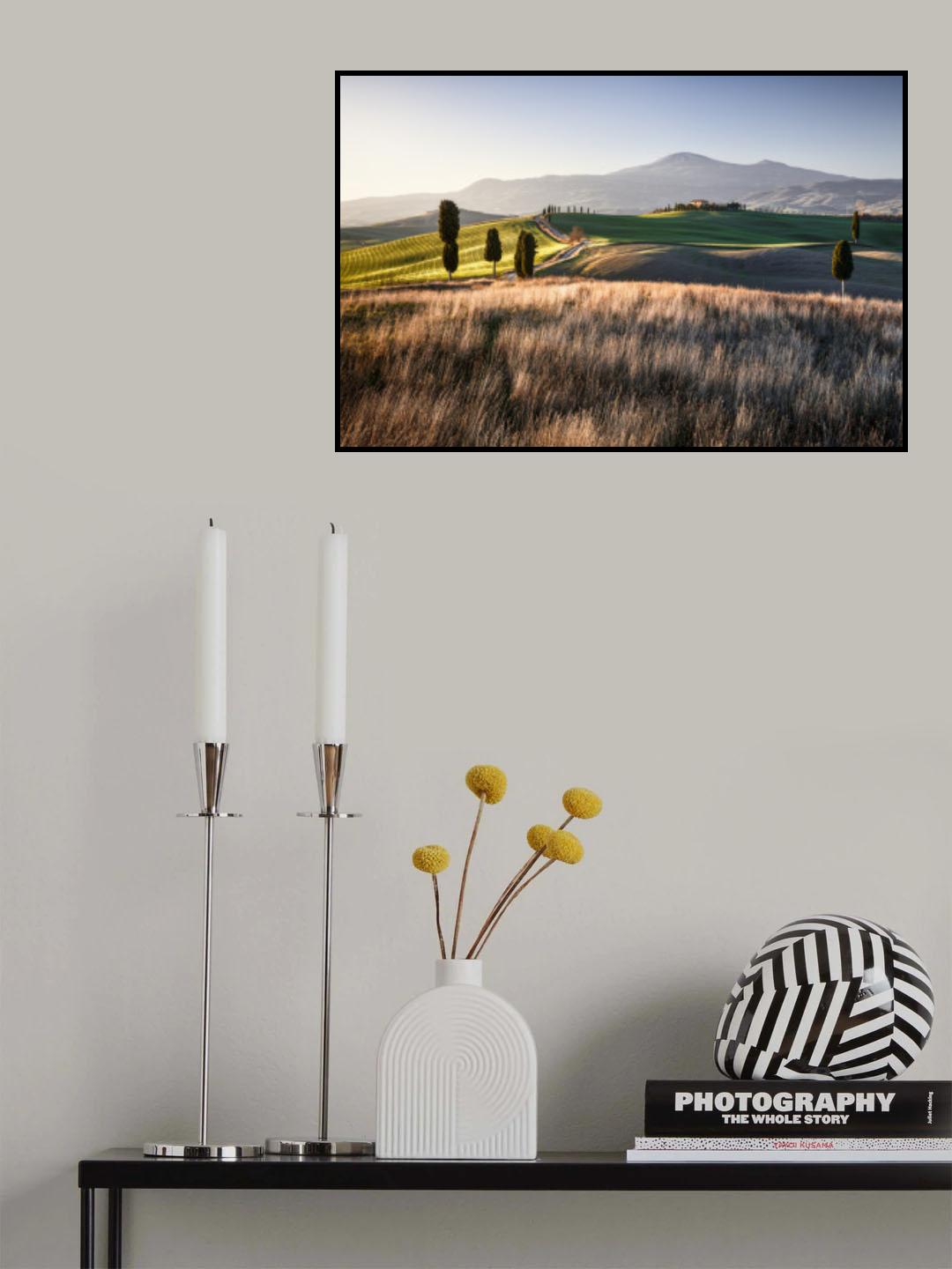 Paesaggio toscano Poster och Canvastavla