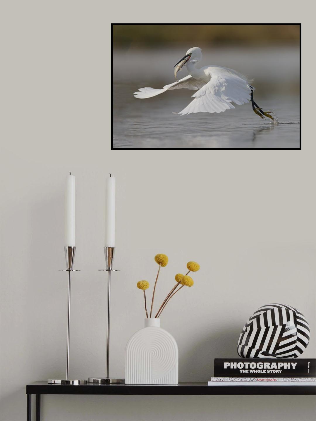 Binge Poster och Canvastavla