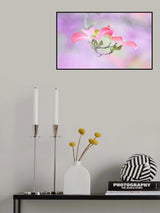 Dogwood Poster och Canvastavla