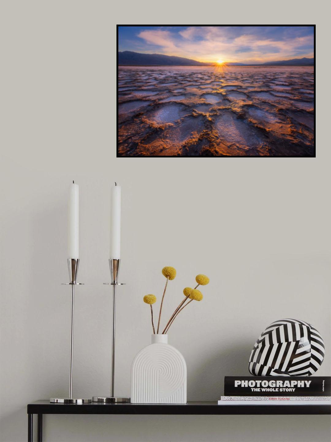 Fluffy Poster och Canvastavla