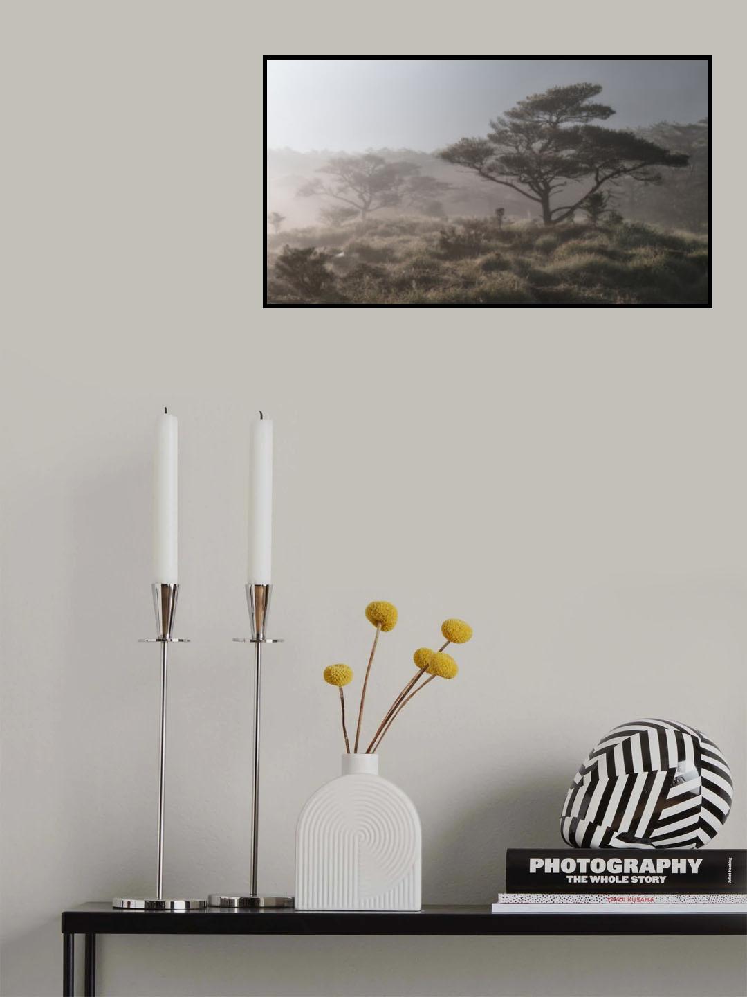 Hill of Pine Trees Poster och Canvastavla