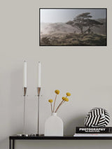 Hill of Pine Trees Poster och Canvastavla
