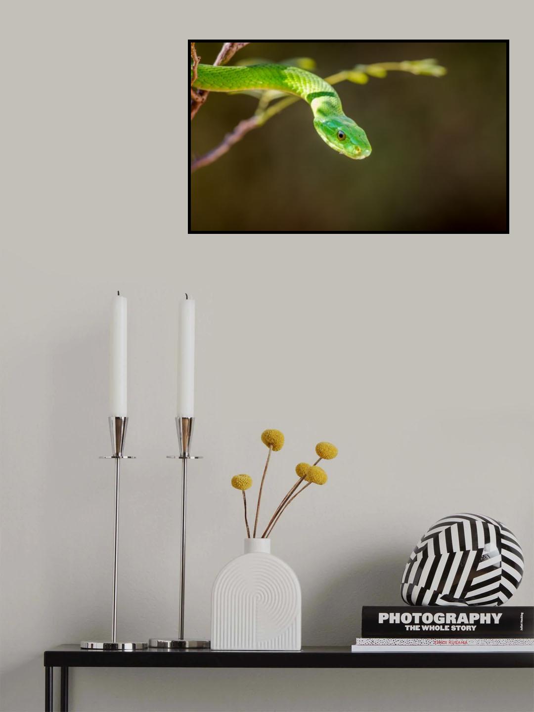 The Green Mamba Poster och Canvastavla