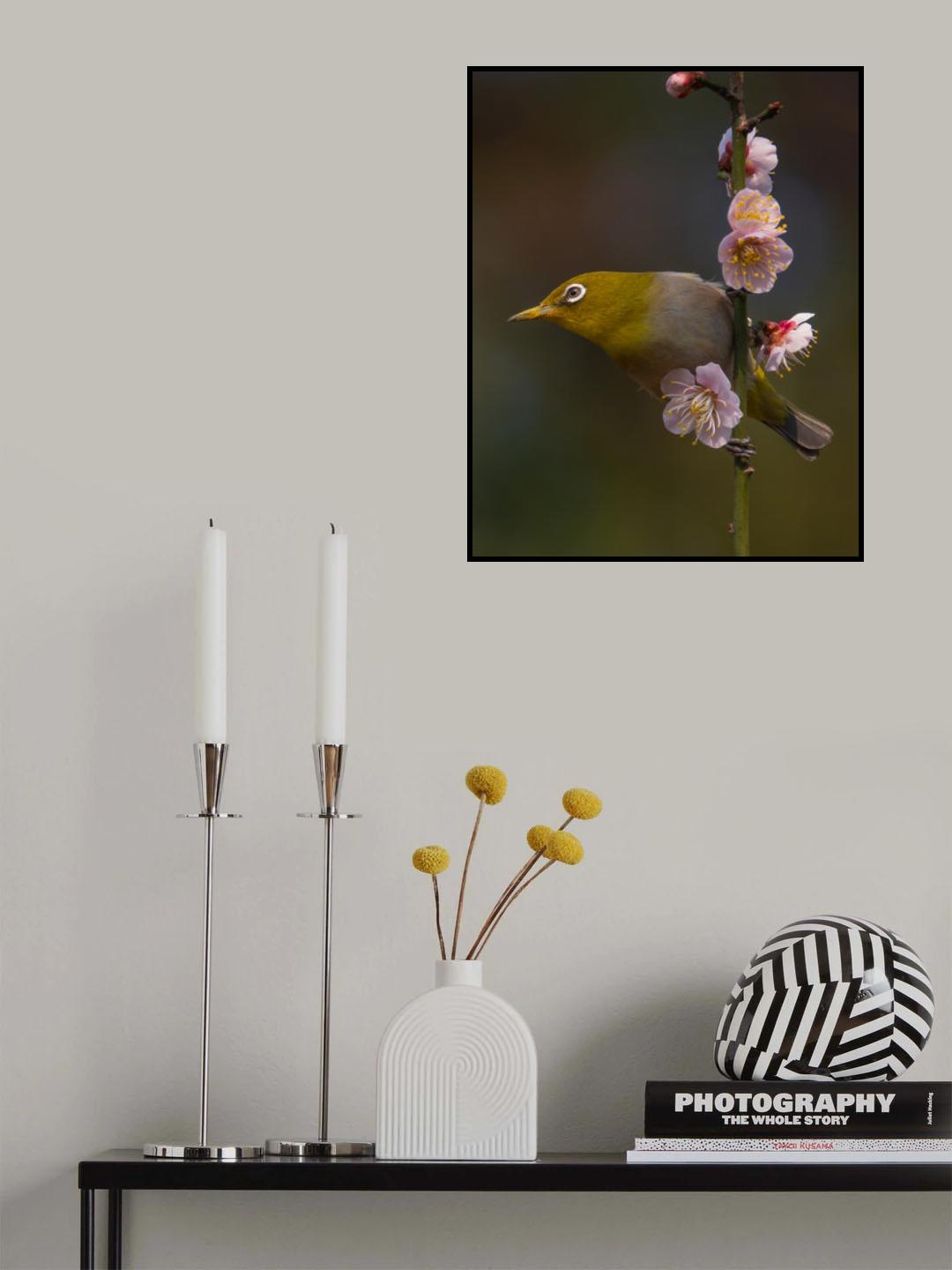 Plum blossoms and white-eye Poster och Canvastavla