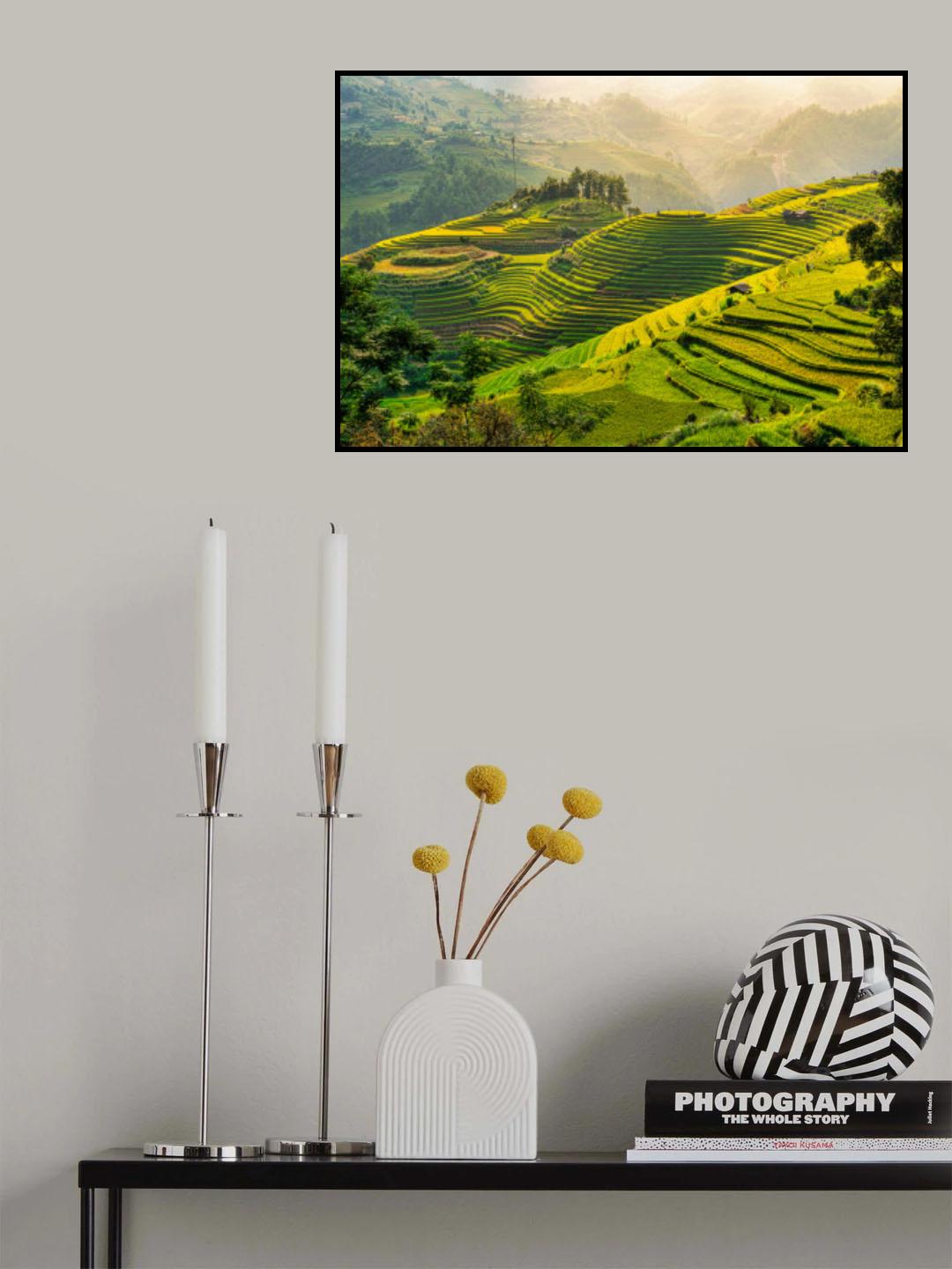Mu Cang Chai rice terrace, Vietnam Poster och Canvastavla
