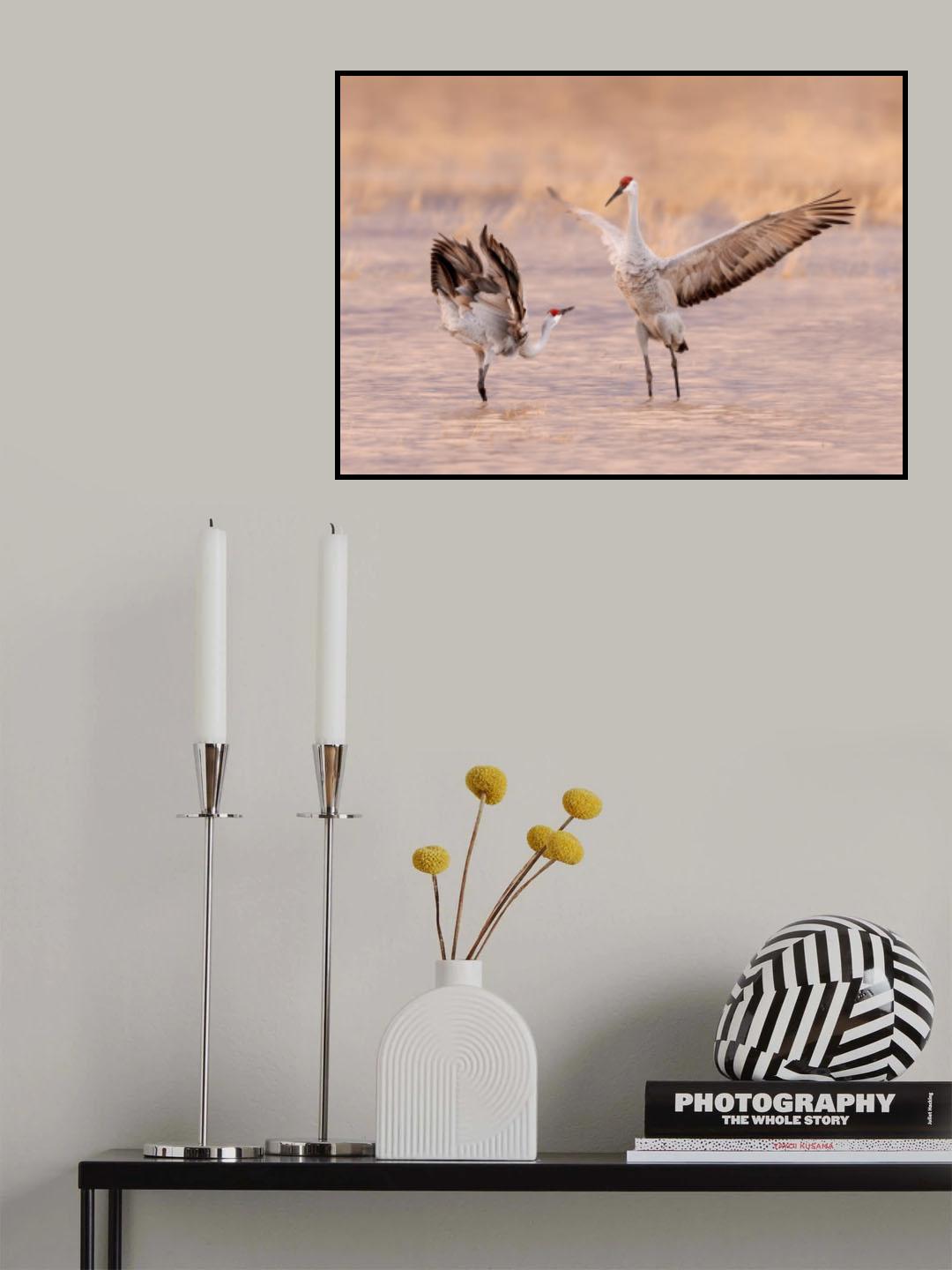 Morning Dance Poster och Canvastavla