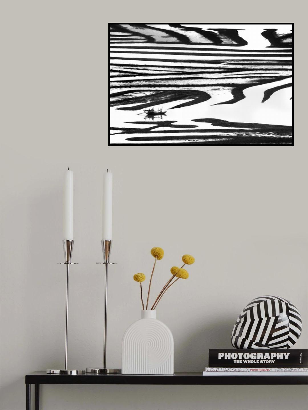 Cruising on a zebra Poster och Canvastavla