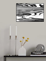 Cruising on a zebra Poster och Canvastavla