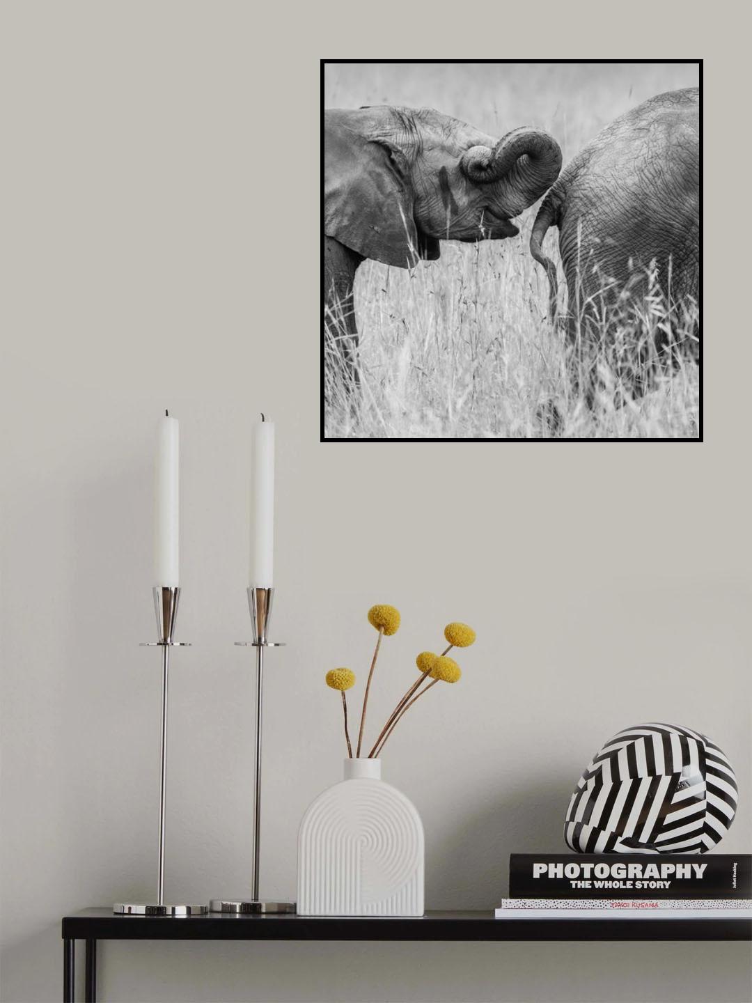 iTrunk Poster och Canvastavla