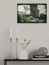 Desolated Island Poster och Canvastavla