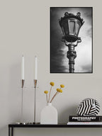 Portrait of lampshade Poster och Canvastavla