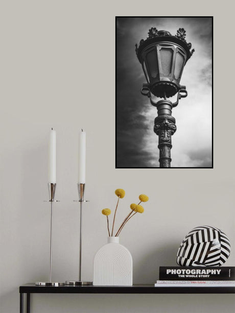 Portrait of lampshade Poster och Canvastavla