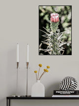 Pink Desert Bloom Poster och Canvastavla