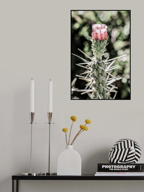 Pink Desert Bloom Poster och Canvastavla