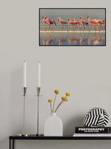 Flamingo Poster och Canvastavla