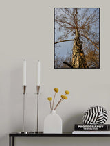 a burned tree Poster och Canvastavla