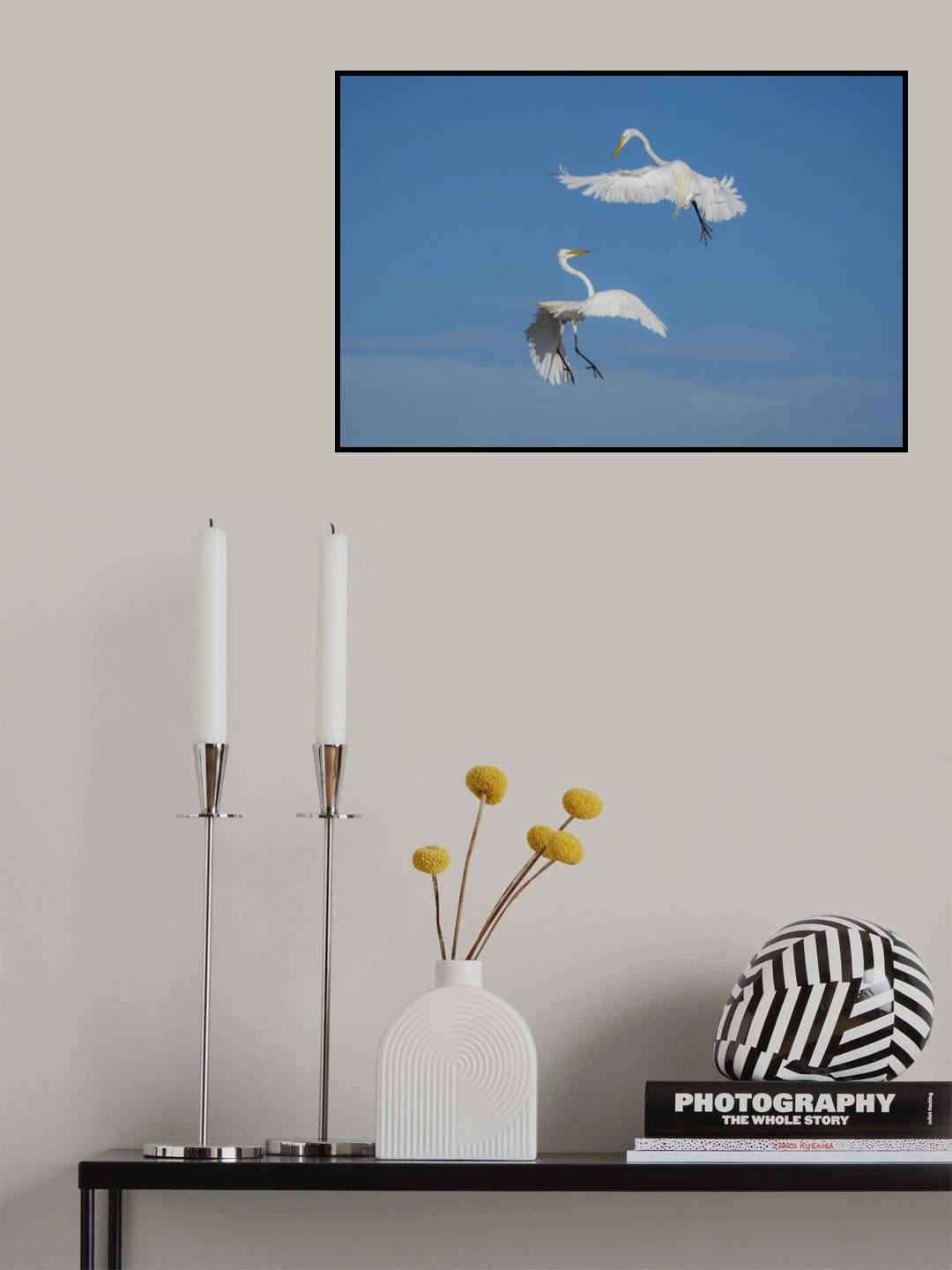 Aerial Dance Poster och Canvastavla