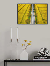 Spring Poster och Canvastavla