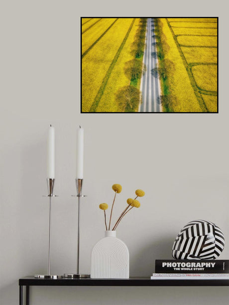 Spring Poster och Canvastavla
