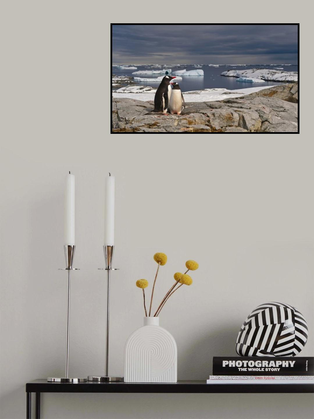 The whole world - for you Poster och Canvastavla