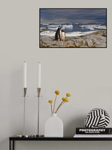 The whole world - for you Poster och Canvastavla
