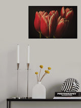 Flowers Poster och Canvastavla