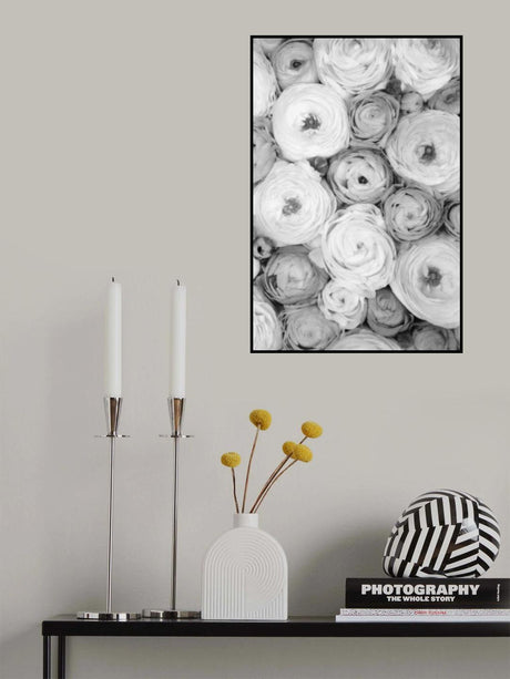 Scattered ranunculus grayscale I Poster och Canvastavla