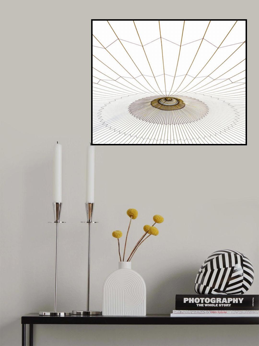 Spider web. Poster och Canvastavla