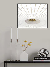Spider web. Poster och Canvastavla