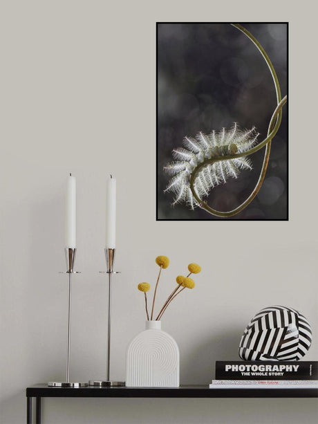 Fire Caterpillar on Unique Branch Poster och Canvastavla