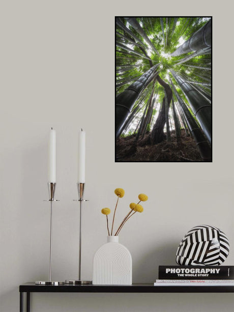 Coexistence Poster och Canvastavla