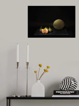 Frozen in Autumn . Poster och Canvastavla
