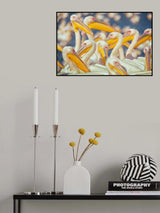 Migratory pelicans Poster och Canvastavla