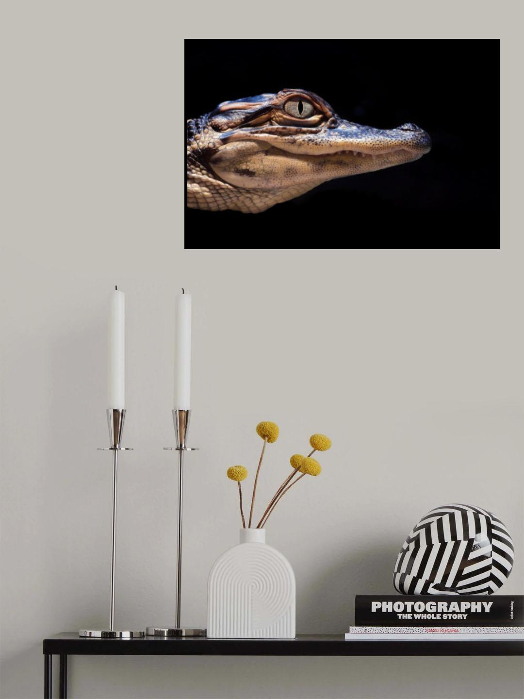 Baby Croc Poster och Canvastavla