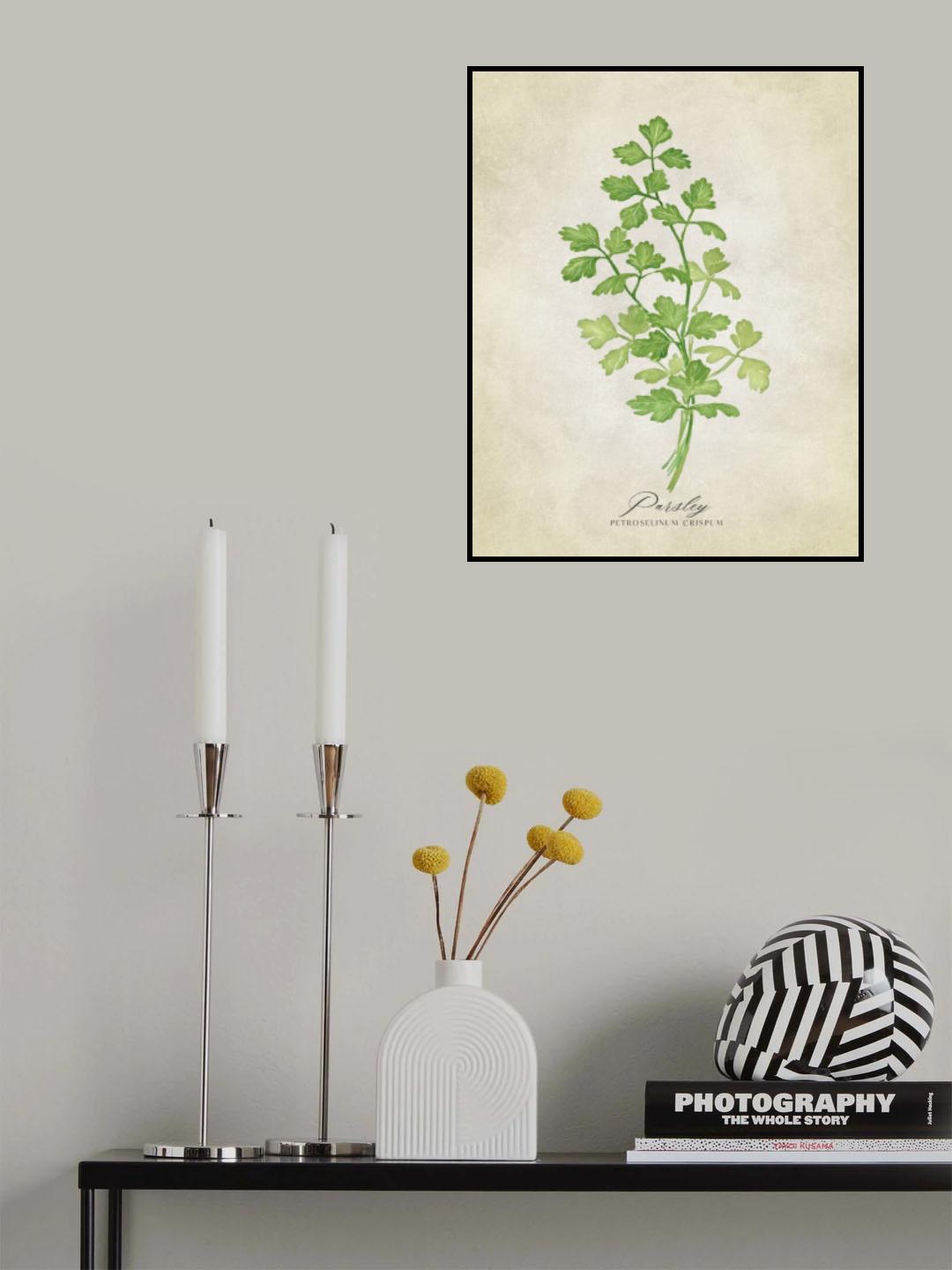 Parsley vintage Poster