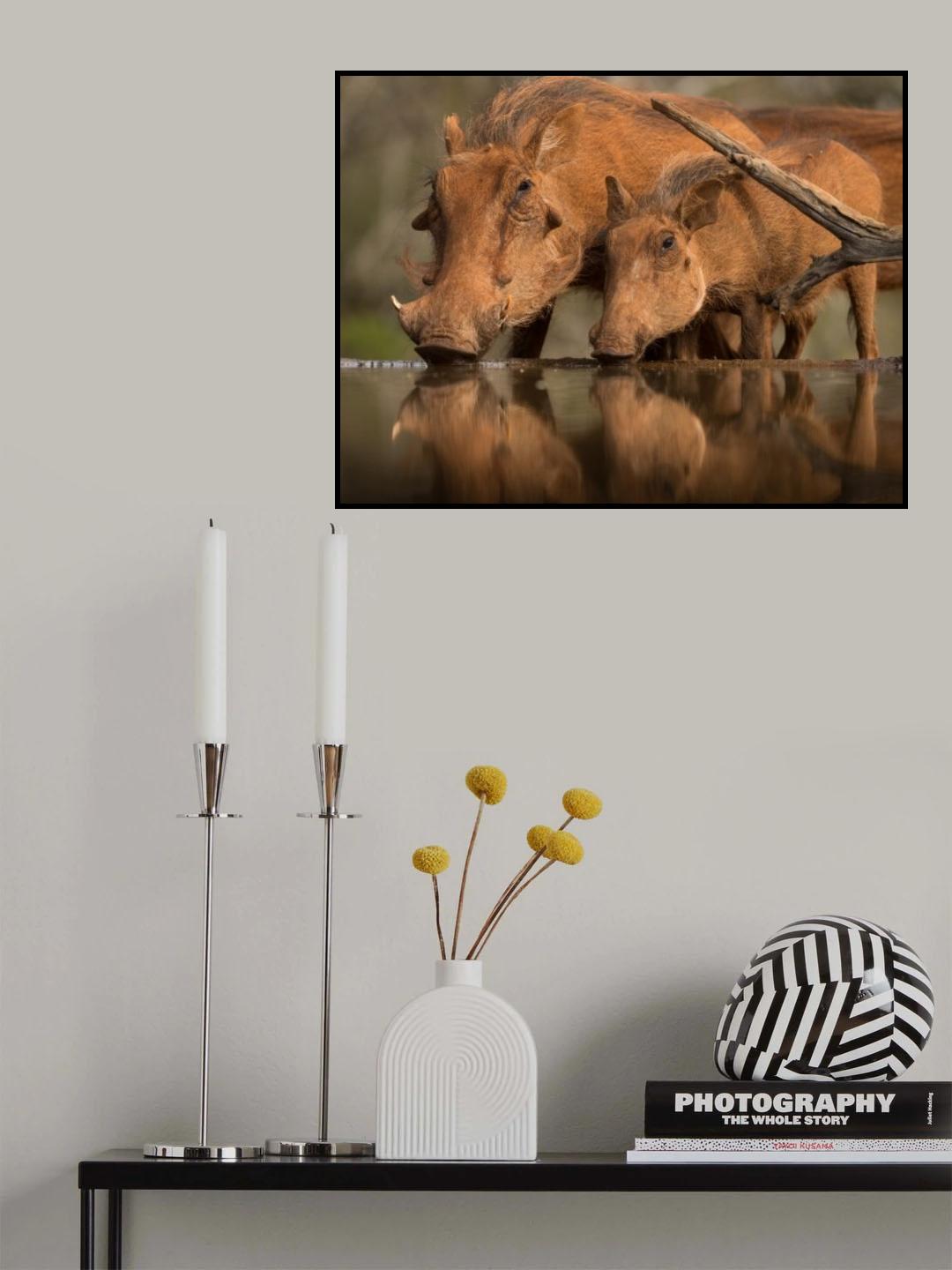 Delicate Poster och Canvastavla