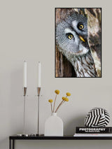 Who's there Poster och Canvastavla
