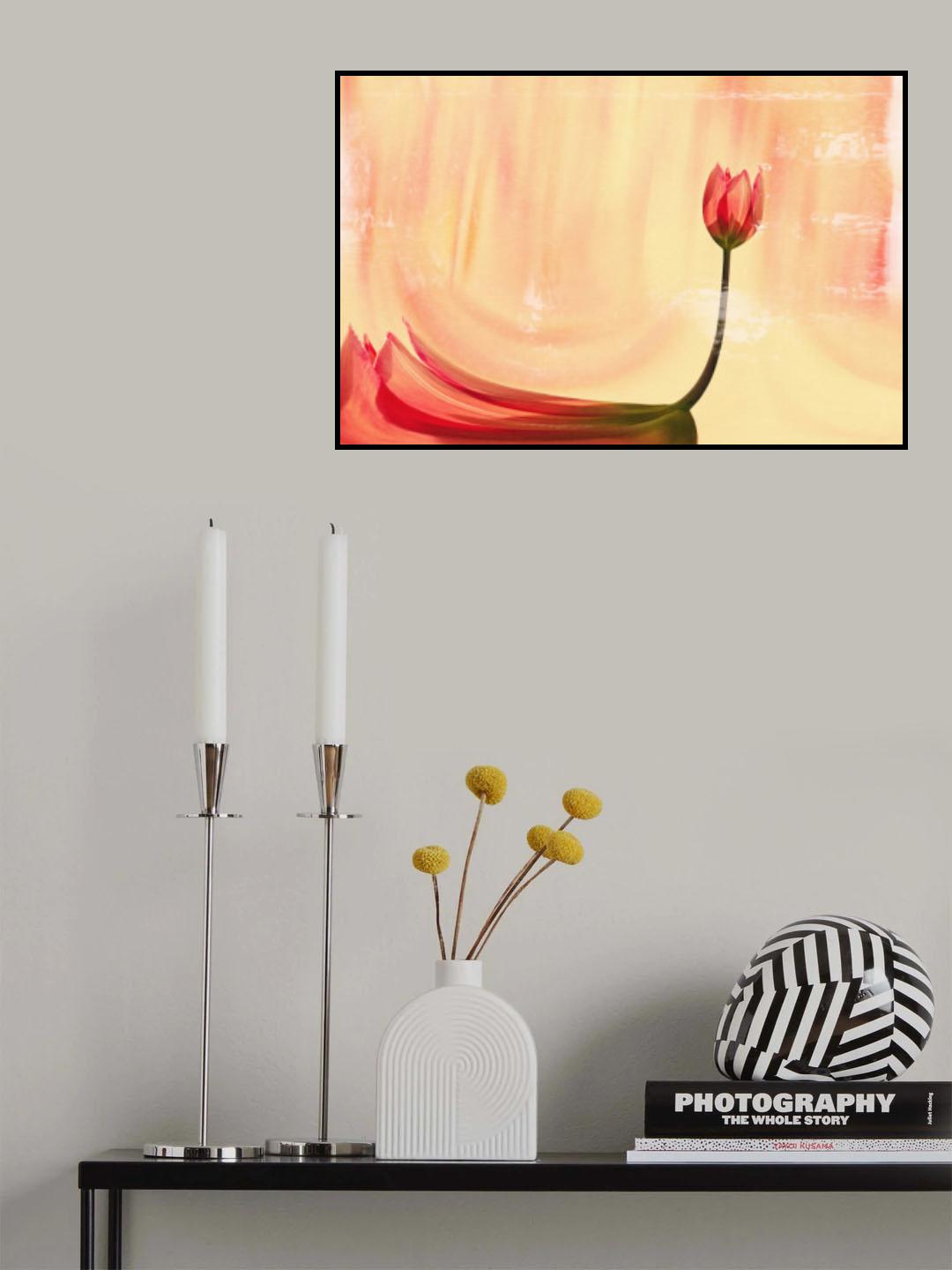 dancer Poster och Canvastavla