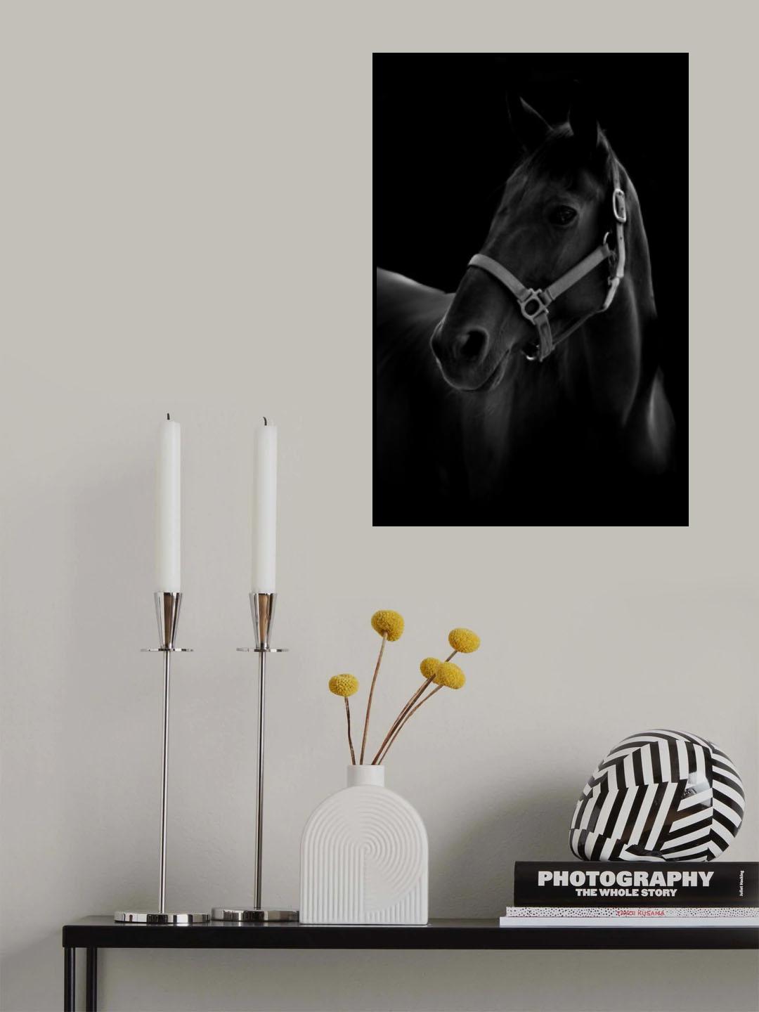 Horse Poster och Canvastavla