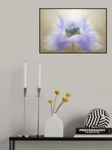 Breeze Poster och Canvastavla
