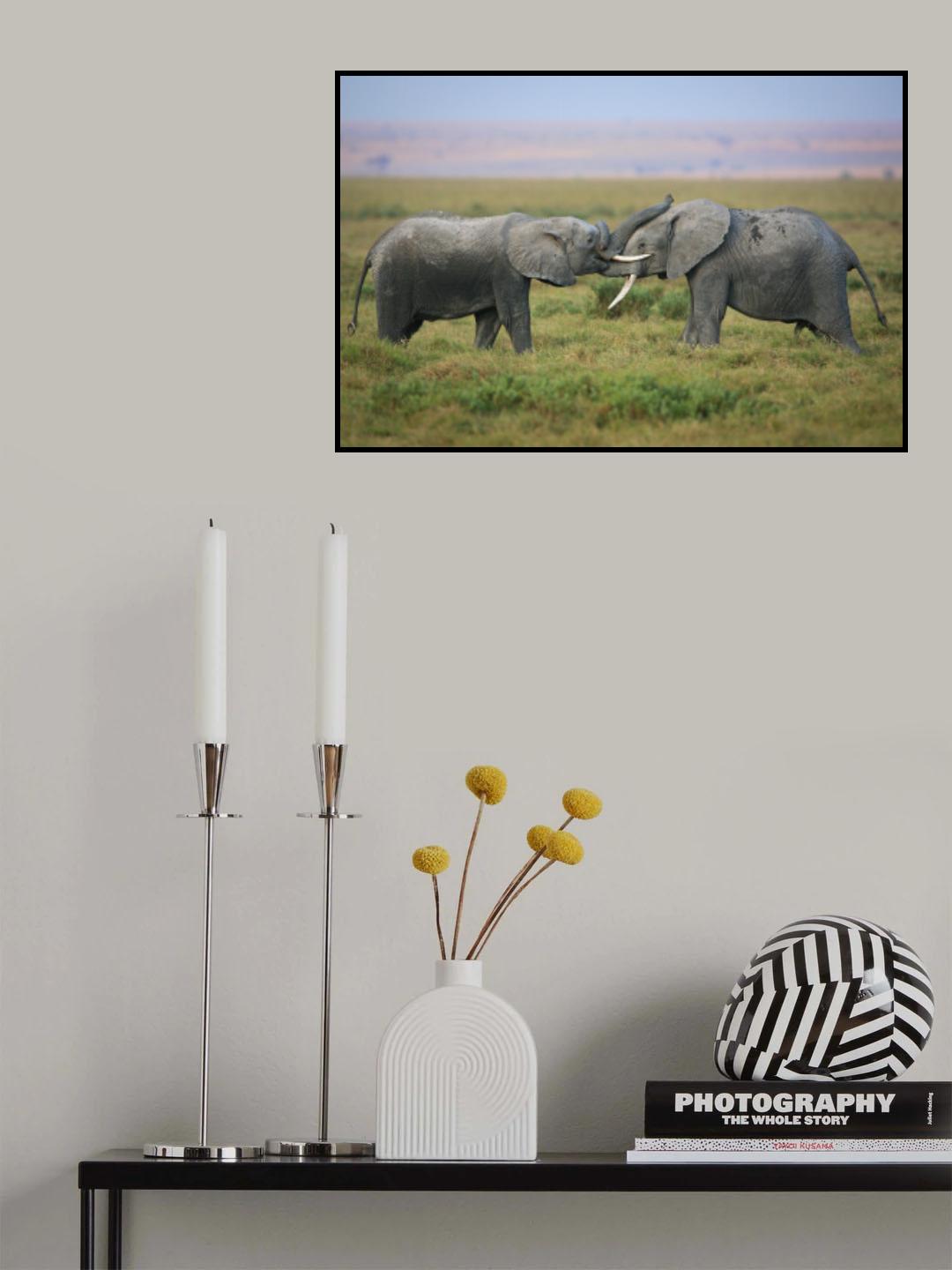 Jousting Poster och Canvastavla