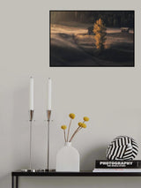 Relention Poster och Canvastavla