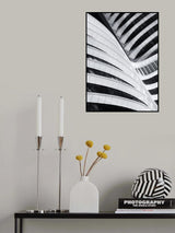 Battle of the curves Poster och Canvastavla
